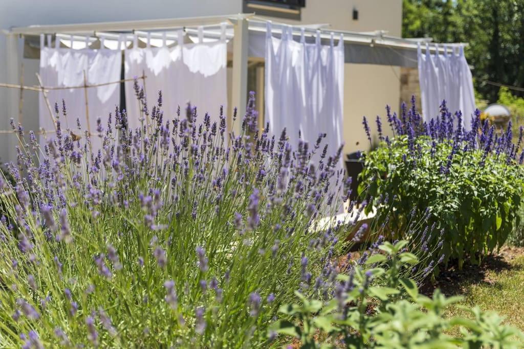Luxury Villa Cetiri Hrasta Pićan Dış mekan fotoğraf
