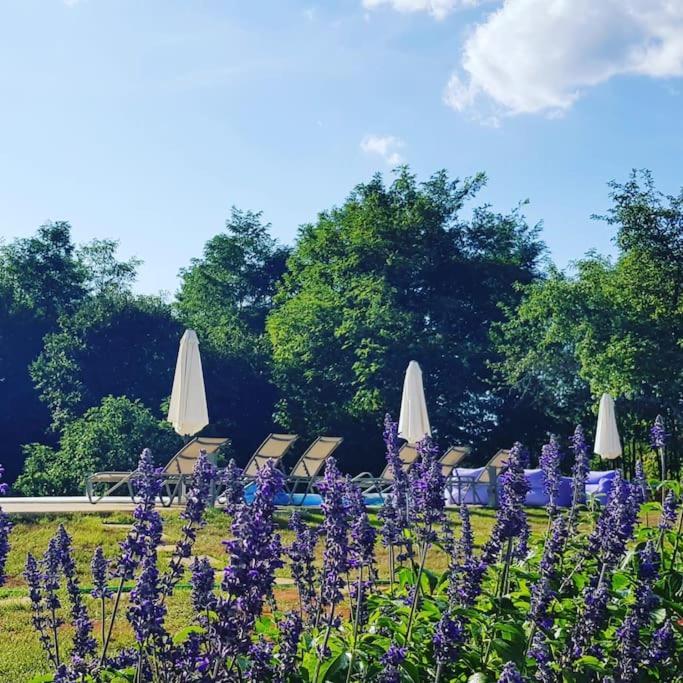 Luxury Villa Cetiri Hrasta Pićan Dış mekan fotoğraf